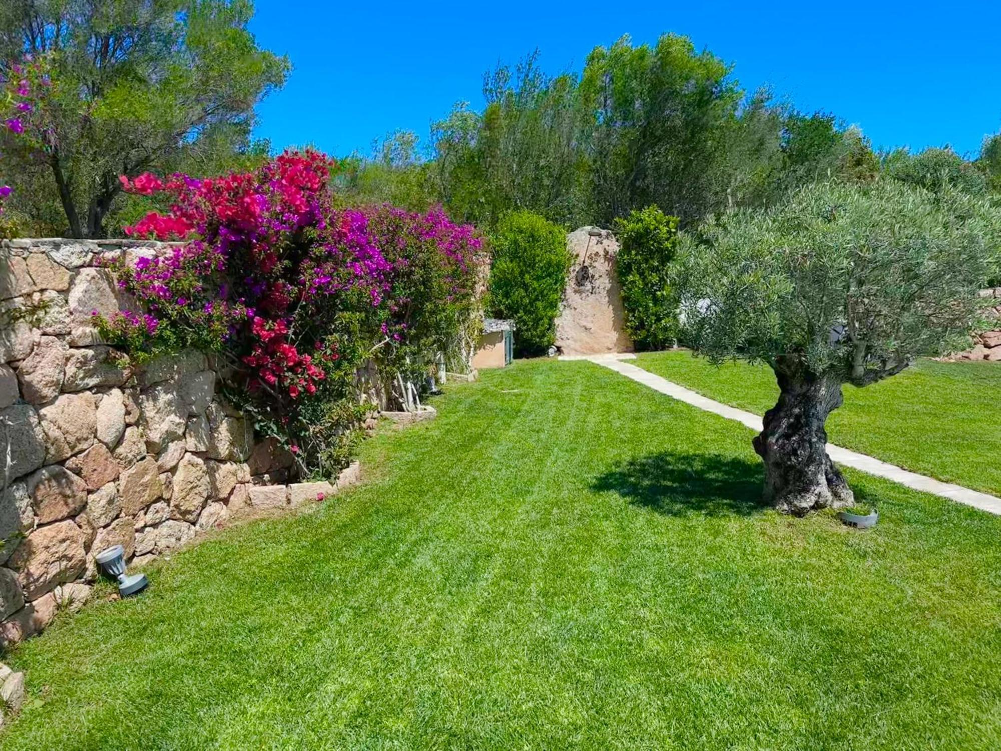 קניגיונה Villa Ibiscus מראה חיצוני תמונה